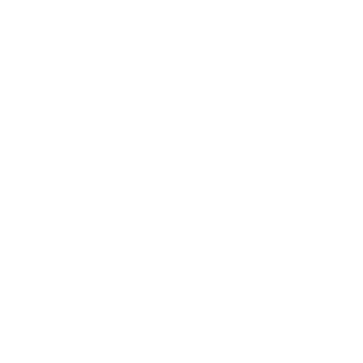 Copilot